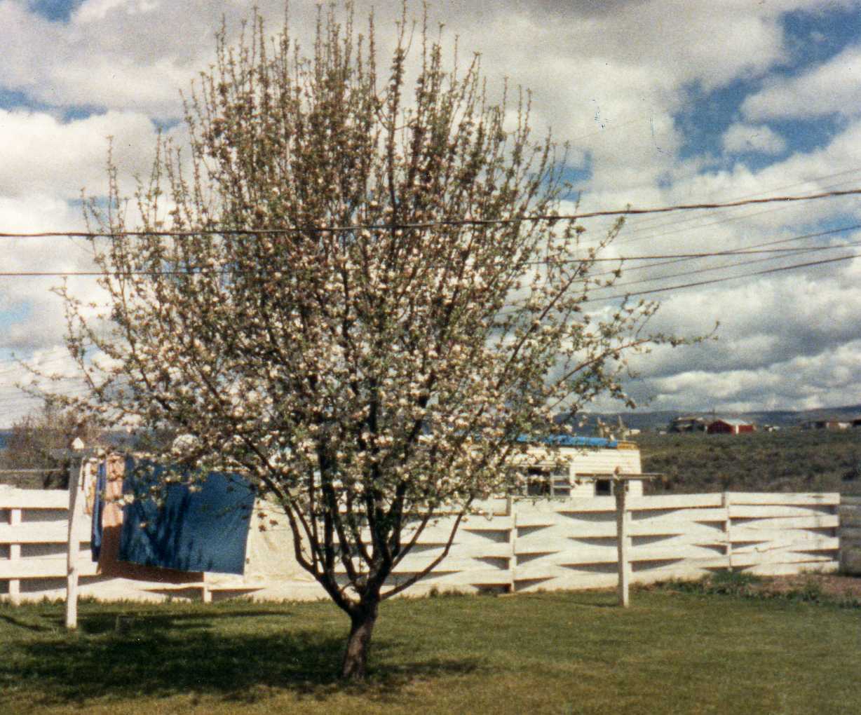 Image 38